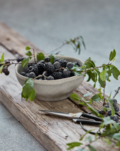 Load image into Gallery viewer, More Bowl | Grey | Small