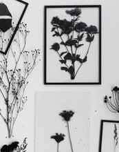 Load image into Gallery viewer, Moebe A2 Frame - BTS CONCEPT STORE