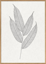 Load image into Gallery viewer, Fern Leaf Print with Oak Frame