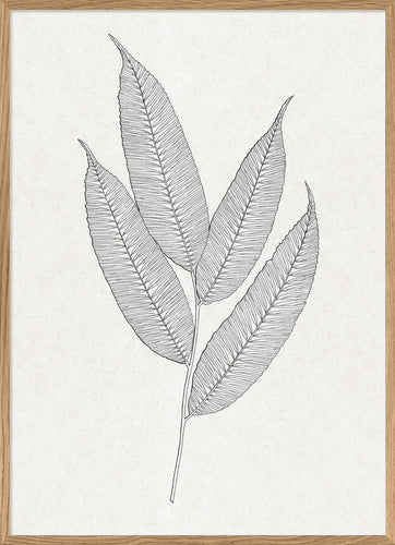 Fern Leaf Print with Oak Frame