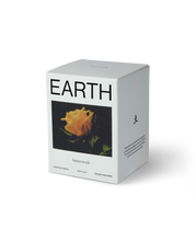 Load image into Gallery viewer, HOMEWORK | Earth Candle - Regular