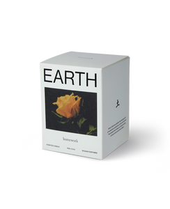 HOMEWORK | Earth Candle - Regular