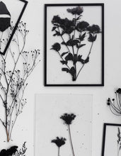 Load image into Gallery viewer, Framed Peace Art Print | A2 | A2 Moebe Frame in black