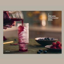 Load image into Gallery viewer, Do Ferment, Guide to Making Kimchi, Kefir and More - BTS CONCEPT STORE