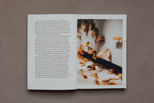 Load image into Gallery viewer, Do Beekeeping Book, Guide for Beginners