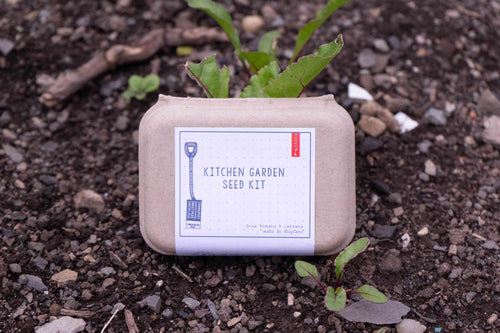 Kitchen Garden Seed Kit