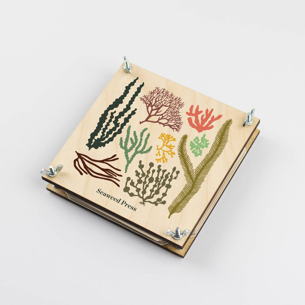 Seaweed Press Kit