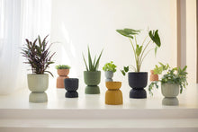Load image into Gallery viewer, Twist Diablo Planter - Sienna | Medium