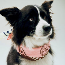 Load image into Gallery viewer, HAY Dog’s Scarf (recycled) | off-white with red