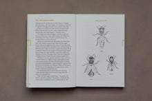Load image into Gallery viewer, Do Beekeeping Book, Guide for Beginners