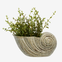Load image into Gallery viewer, Stoneware Conch Shell Pot - BTS CONCEPT STORE