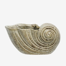 Load image into Gallery viewer, Stoneware Conch Shell Pot - BTS CONCEPT STORE