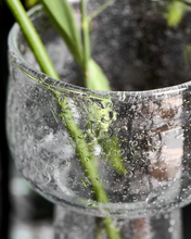 Load image into Gallery viewer, Tuur Vase | Clear
