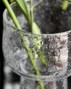 Tuur Vase | Clear
