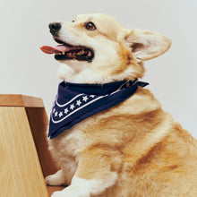 Load image into Gallery viewer, HAY Dog’s Scarf (recycled) | off-white with red