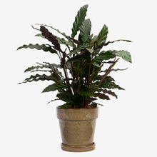 Load image into Gallery viewer, Madam Stoltz Flower Pot With Saucer | Beige - BTS CONCEPT STORE