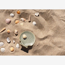 Load image into Gallery viewer, Stoneware Sea Shell Plate | Small | Sea Green - BTS CONCEPT STORE