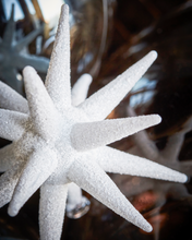 Load image into Gallery viewer, Christmas  Ornaments | Spike | White Glitter | 7.5cm