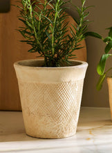 Load image into Gallery viewer, Dursley Textured Stone Plant Pot | 17cm - BTS CONCEPT STORE