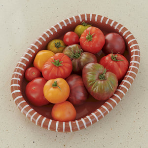 HAY Barro Oval Dish Large | Natural with Stripes
