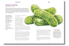 Load image into Gallery viewer, Blasta Books | Funky - BTS CONCEPT STORE