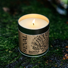 Load image into Gallery viewer, St Eval Sea Moss + Driftwood Candle Tin - BTS CONCEPT STORE