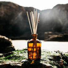 Load image into Gallery viewer, St Eval Sea Moss + Driftwood Diffuser Refill Oil