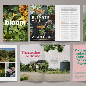 Bloom Magazine | Issue 15 Autumn/ Winter 23