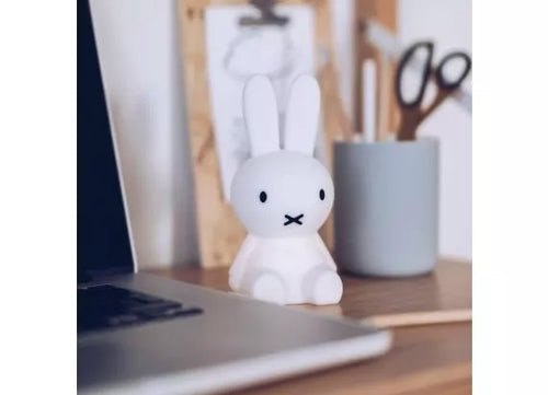 Miffy Bundle of Light