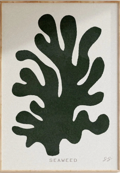 Seaweed print | a3