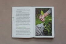 Load image into Gallery viewer, Do Grow - Start with 10 simple vegetables