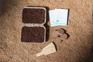 Kitchen Garden Seed Kit