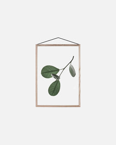 MOEBE A5 Floating Leaf Print | Single 3 designs