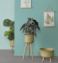 Load image into Gallery viewer, Up Low Basket Planter - BTS CONCEPT STORE