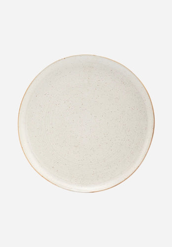 Pion Dinner Plate set of 2 | grey + white speckle
