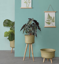 Load image into Gallery viewer, Up High Basket Planter - BTS CONCEPT STORE